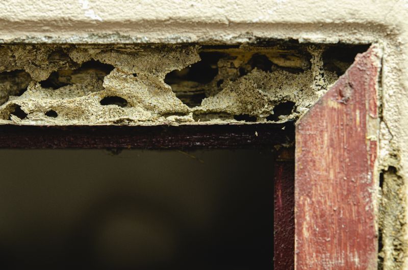 Framing Repair in Wilmington, NC